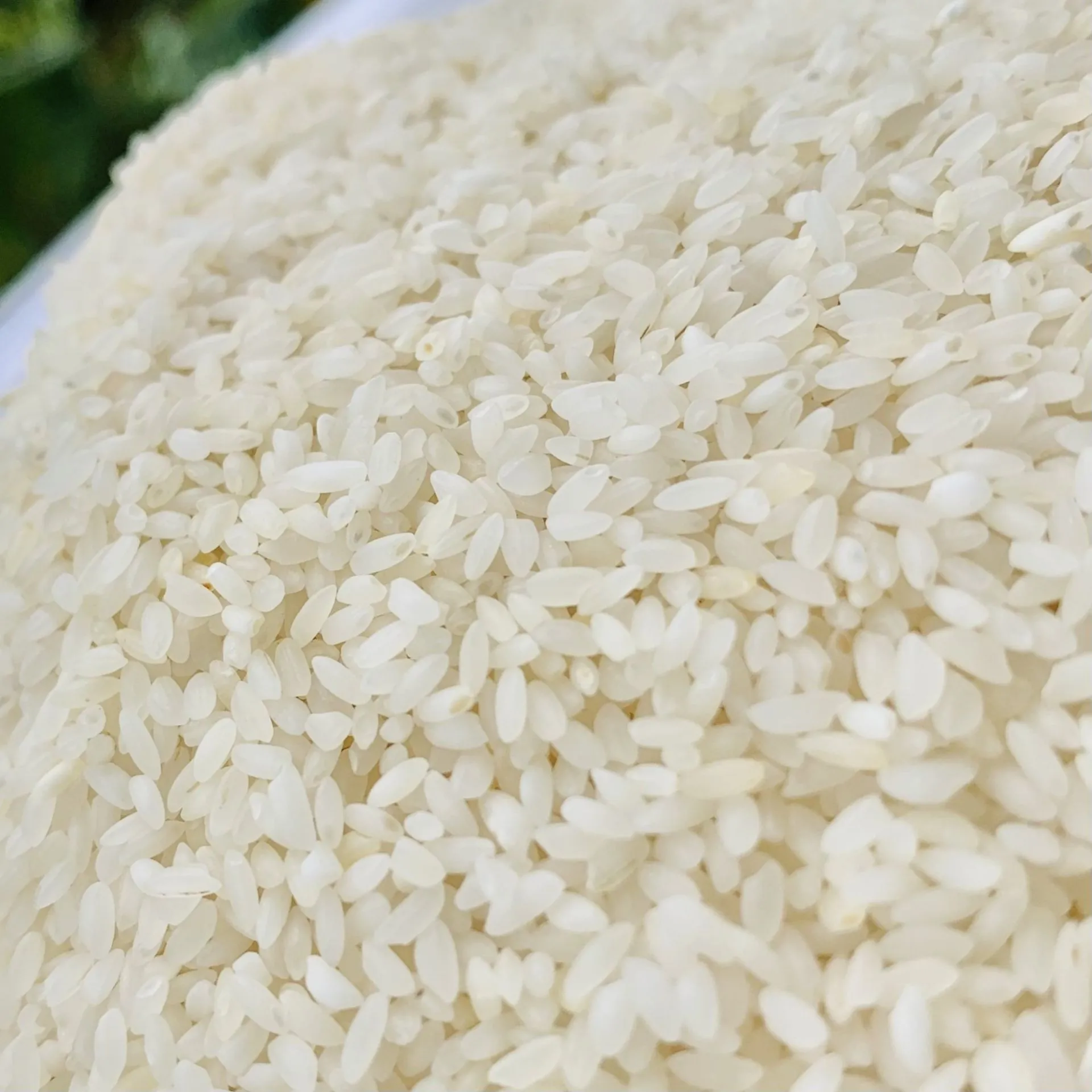 TELUGUFOODS SEERAGA SAMBA RICE 10LB