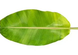 BANANA LEAF PER PC