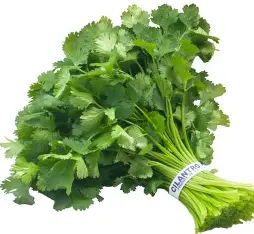 CILANTRO PER PC