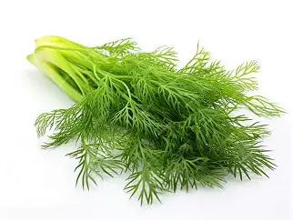DILL LEAVES PER PC