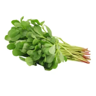 GANGABHABAYALA KURA PER PC