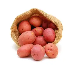 POTATO RED 5LB BAG