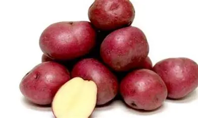 POTATO RED PER LB