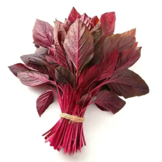 RED LEAVES (THOTA)PER BUNCH
