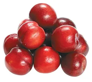 RED PLUMS PER LB
