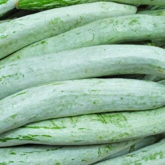 SNAKE GOURD PER LB