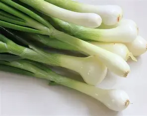 SPRING ONIONS PER PC