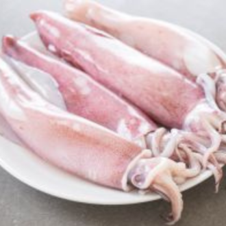 SQUID FISH PER LB
