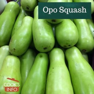 INDIAN OPO /SQUASH PER LB