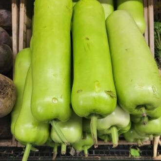 OPO SQUASH PER LB