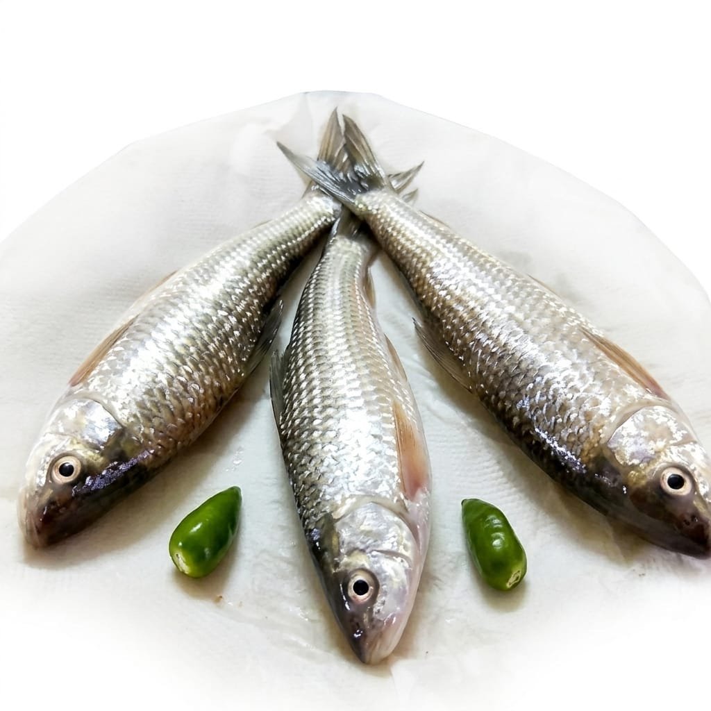 TIGER BATA 500G
