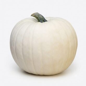 Whole pale white pumpkin with a dark green stem