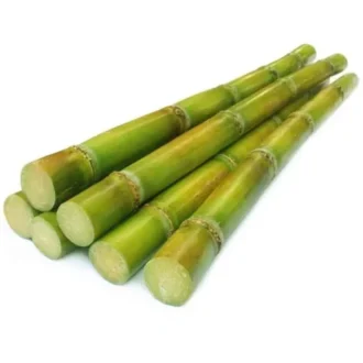 SUGAR CANE GREEN EACH