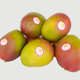 MARATHON MANGO PER PC