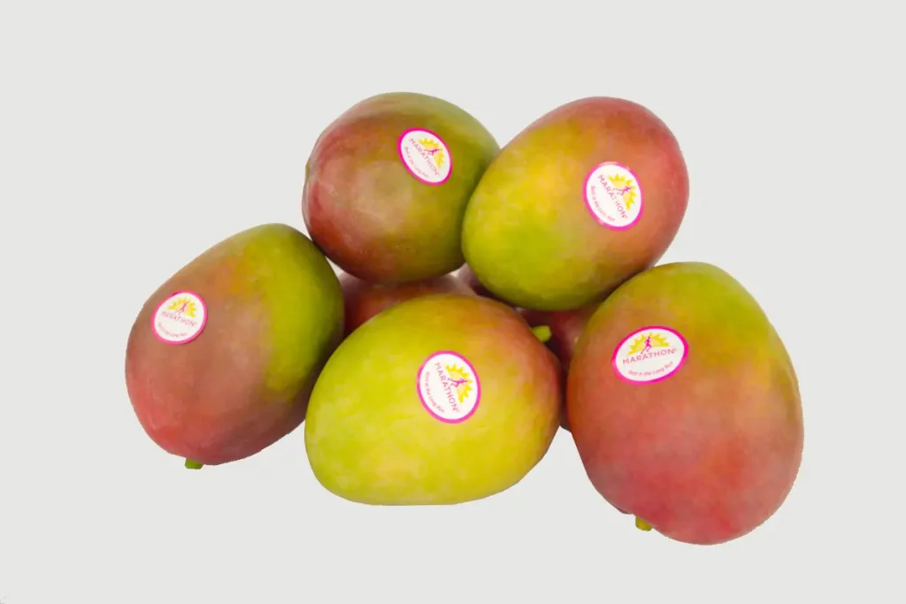 MARATHON MANGO PER PC
