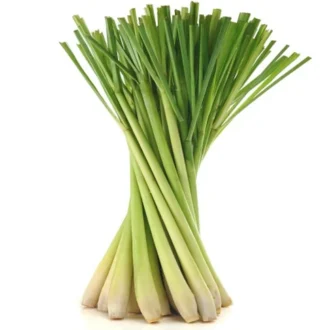 LEMON GRASS PER PC