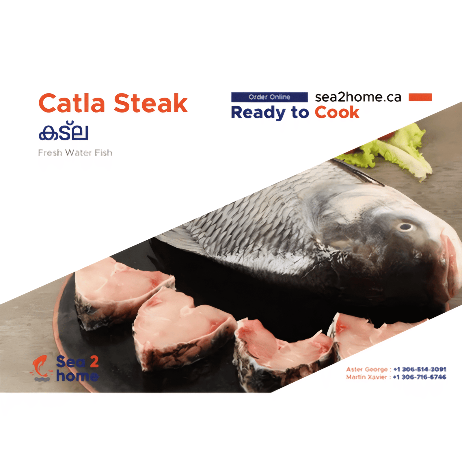 OB CATLA STEAKS 2LB