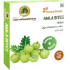 Amla bites 100g