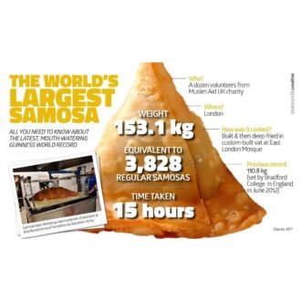 SAMOSA BIG, topdesimart, top desi mart