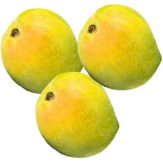 INDIAN MANGOES PAYARI PER PC, topdesimart, top desi mart