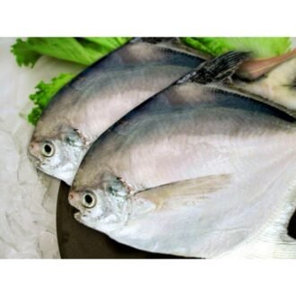 WHITE POMPHET PER LB, topdesimart, top desi mart