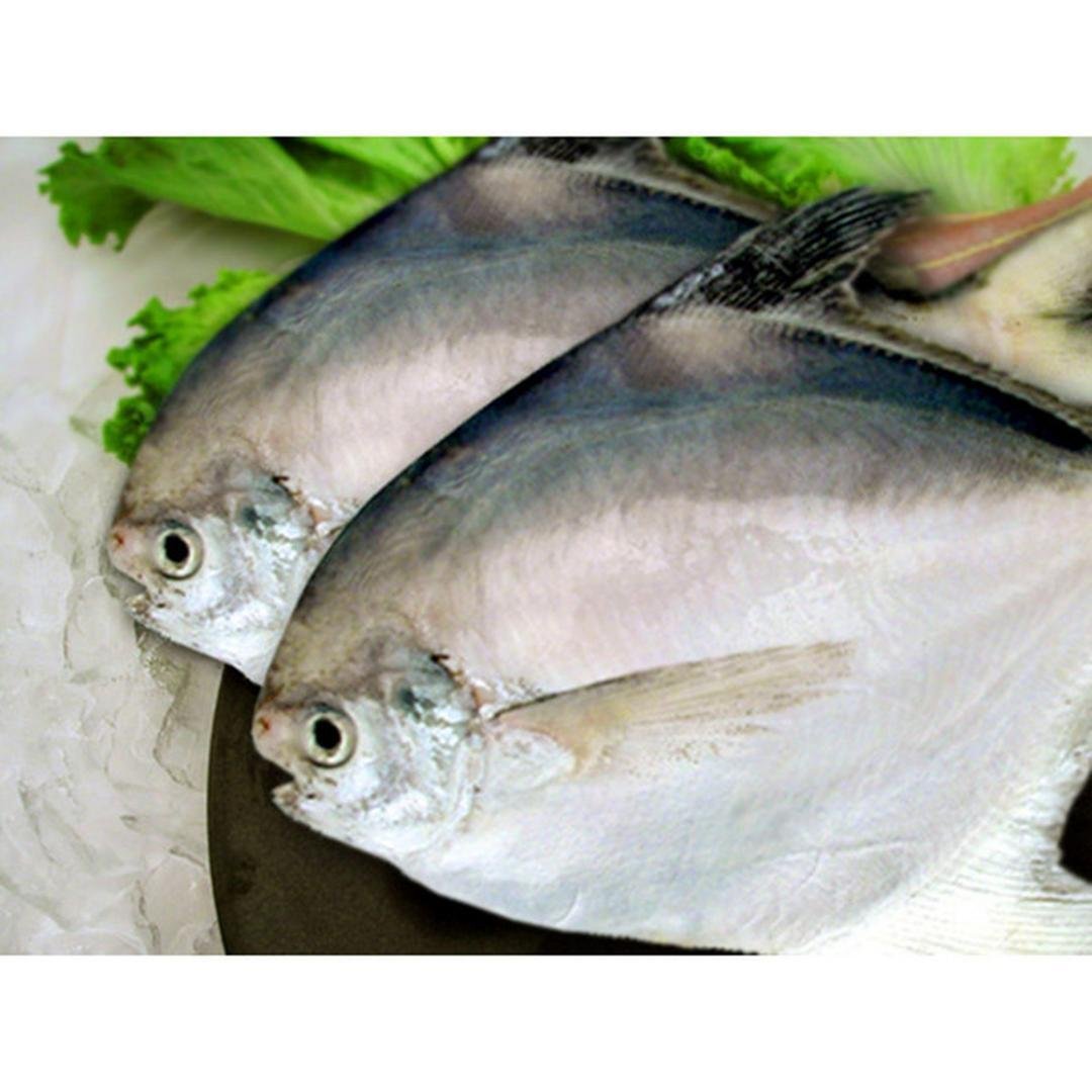 WHITE POMPHET PER LB, topdesimart, top desi mart