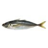 MACKEREL PER LB, topdesimart, top desi mart