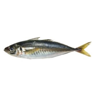 MACKEREL PER LB, topdesimart, top desi mart