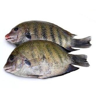 PEARL SPOT PER LB, topdesimart, top desi mart