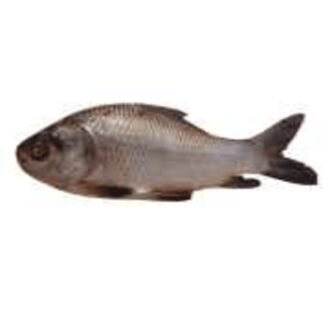 CATLA FISH PER LB, topdesimart, top desi mart