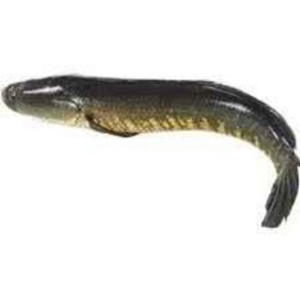 KORAMENU PER LB, topdesimart, top desi mart