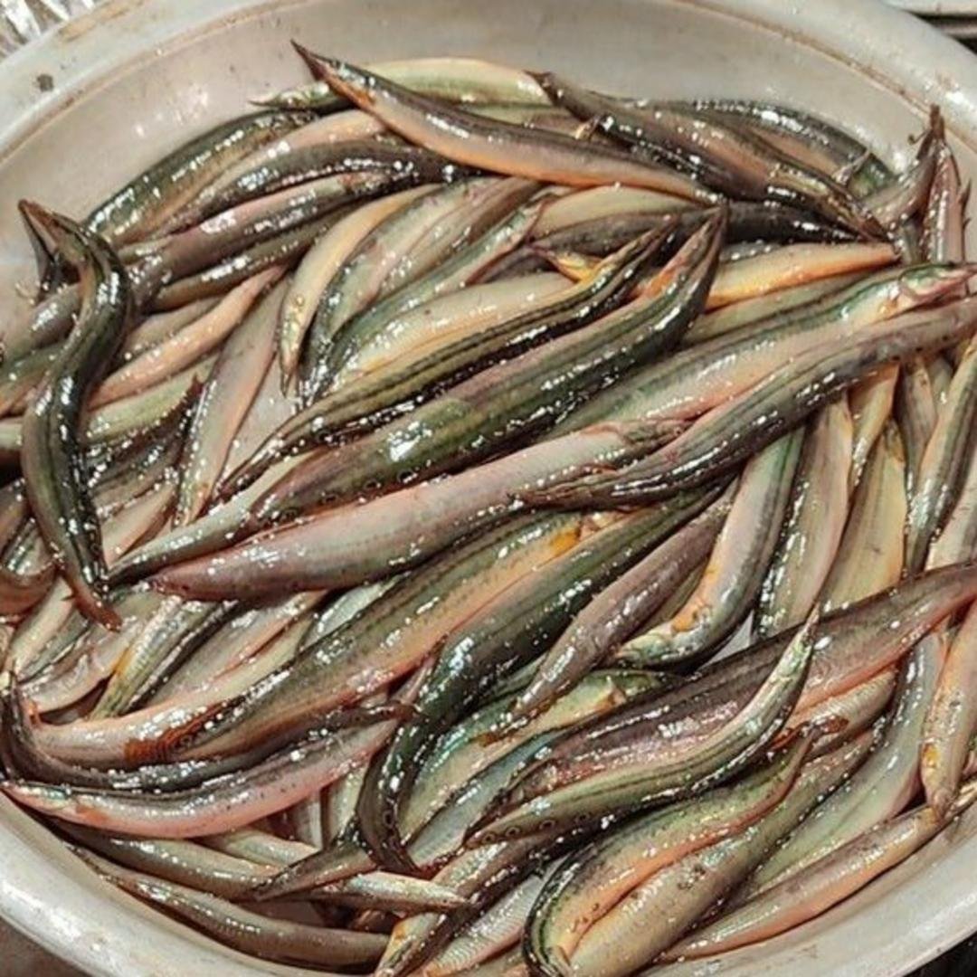 BOMBIDAYALU PER LB, topdesimart, top desi mart