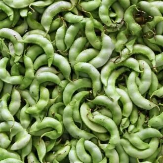 SURTI PAPDI PER LB, topdesimart, top desi mart