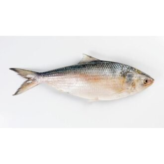 SAF HILSA TAILLE 15/20 PER LB, topdesimart, top desi mart