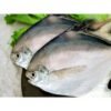 SAF WHITE POMFRET PER LB, topdesimart, top desi mart