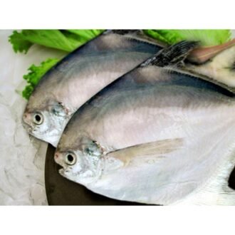SAF WHITE POMFRET PER LB, topdesimart, top desi mart