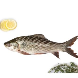 SAF ROHU 2KG UP PER LB, topdesimart, top desi mart