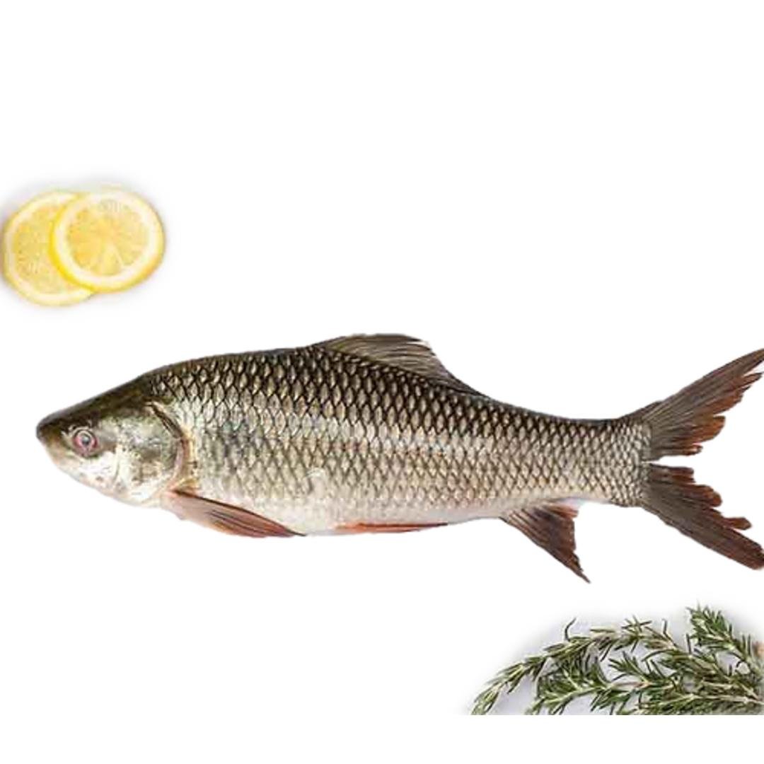 SAF ROHU 2KG UP PER LB, topdesimart, top desi mart