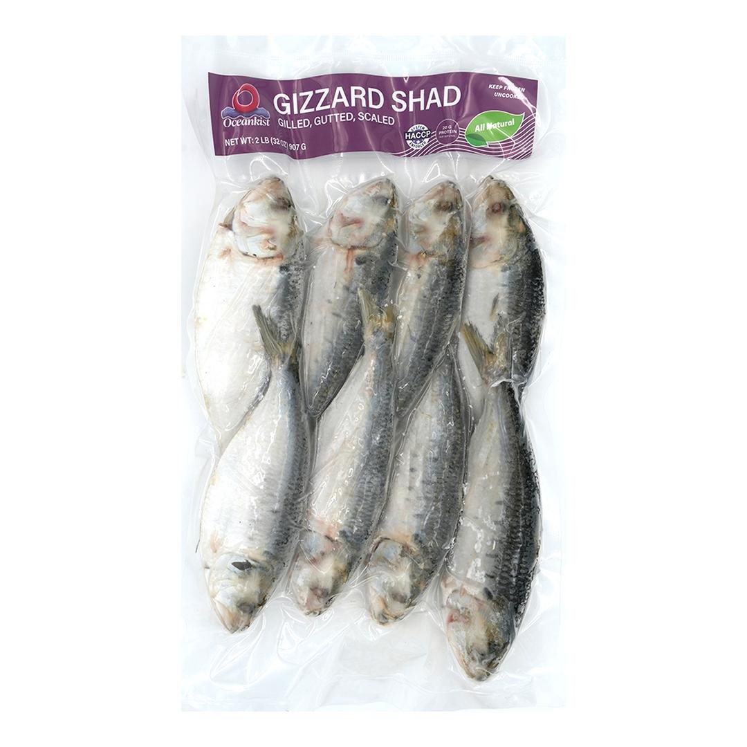 HILSA 2LB UP PER LB, topdesimart, top desi mart