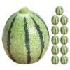 WATERMELON MINI PER PC, topdesimart, top desi mart