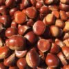 CHESTNUT JUMBO PER LB, topdesimart, top desi mart