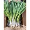 GREEN GARLIC, topdesimart, top desi mart