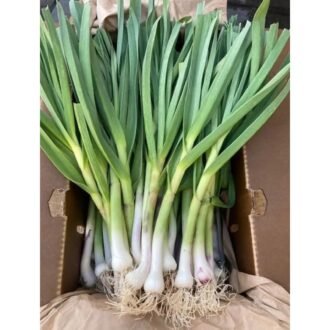GREEN GARLIC, topdesimart, top desi mart