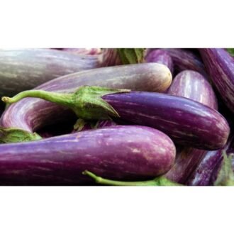 AMERICAN EGG PLANT PER LB, topdesimart, top desi mart