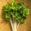 CELERY LEAVES PER PC, topdesimart, top desi mart