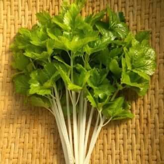 CELERY LEAVES PER PC, topdesimart, top desi mart