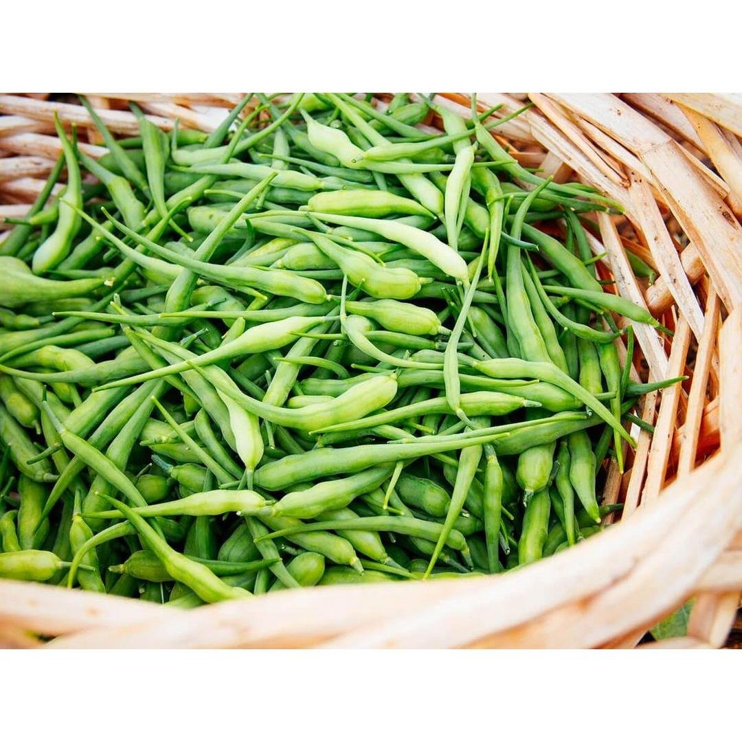 MOGRI BEANS PER LB, topdesimart, top desi mart
