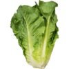 LETTUCE EACH, topdesimart, top desi mart