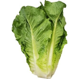 LETTUCE EACH, topdesimart, top desi mart