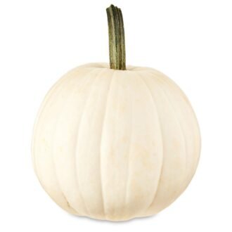 WHITE PUMPKIN WHOLE PER LB, topdesimart, top desi mart